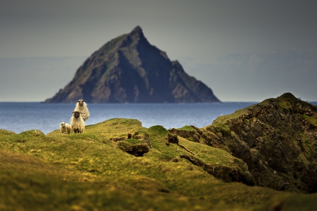 Top Things to Do in Dingle: The Great Blasket Island Experience