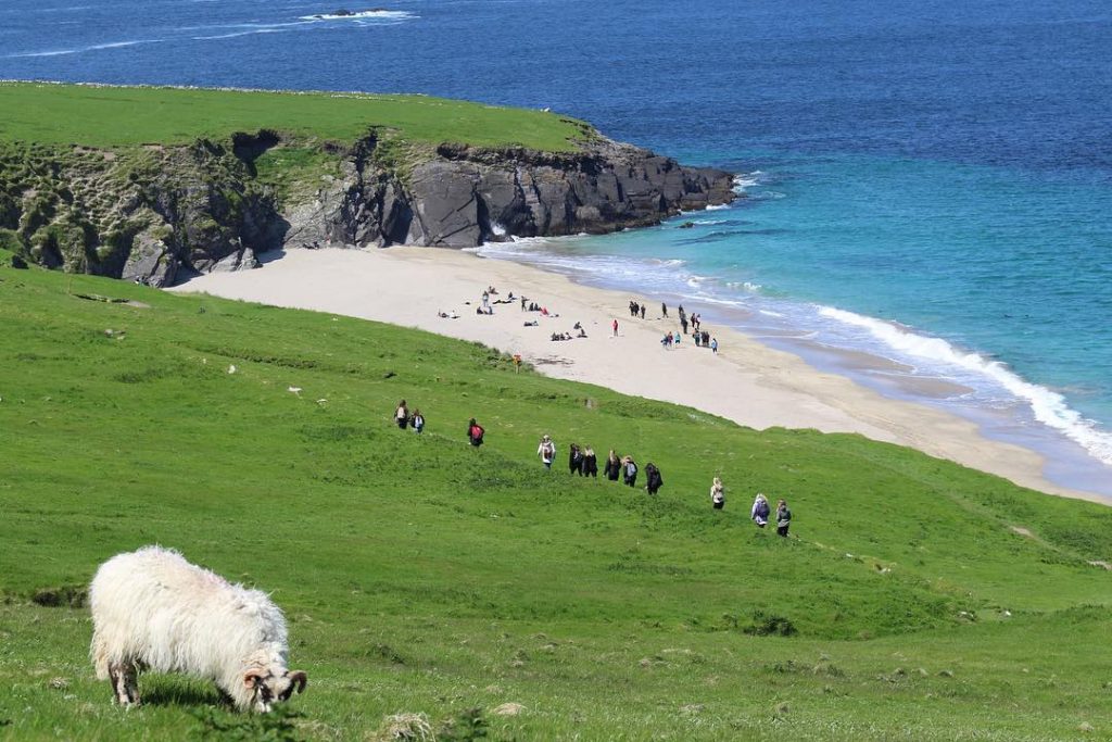 Things to Do in Dingle: The Great Blasket Island Experience