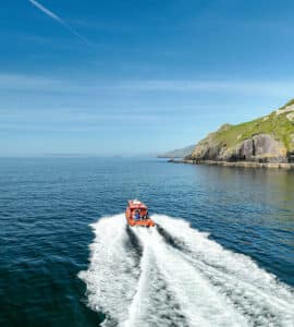900x1000 0015 Boat at speed Boat tour in Dingle Bay along the Wild Atlantic Way
