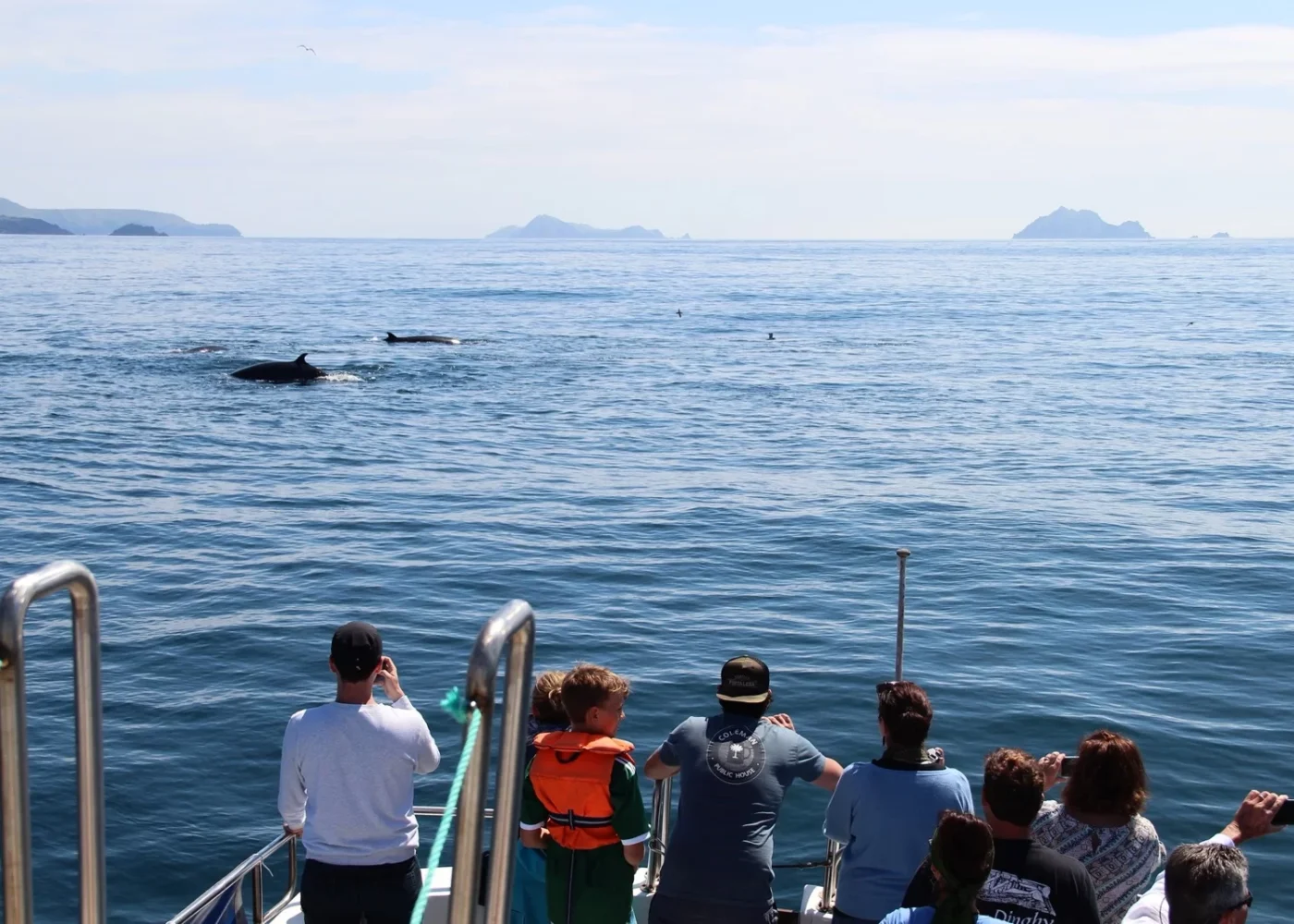 Eco Marine Tours